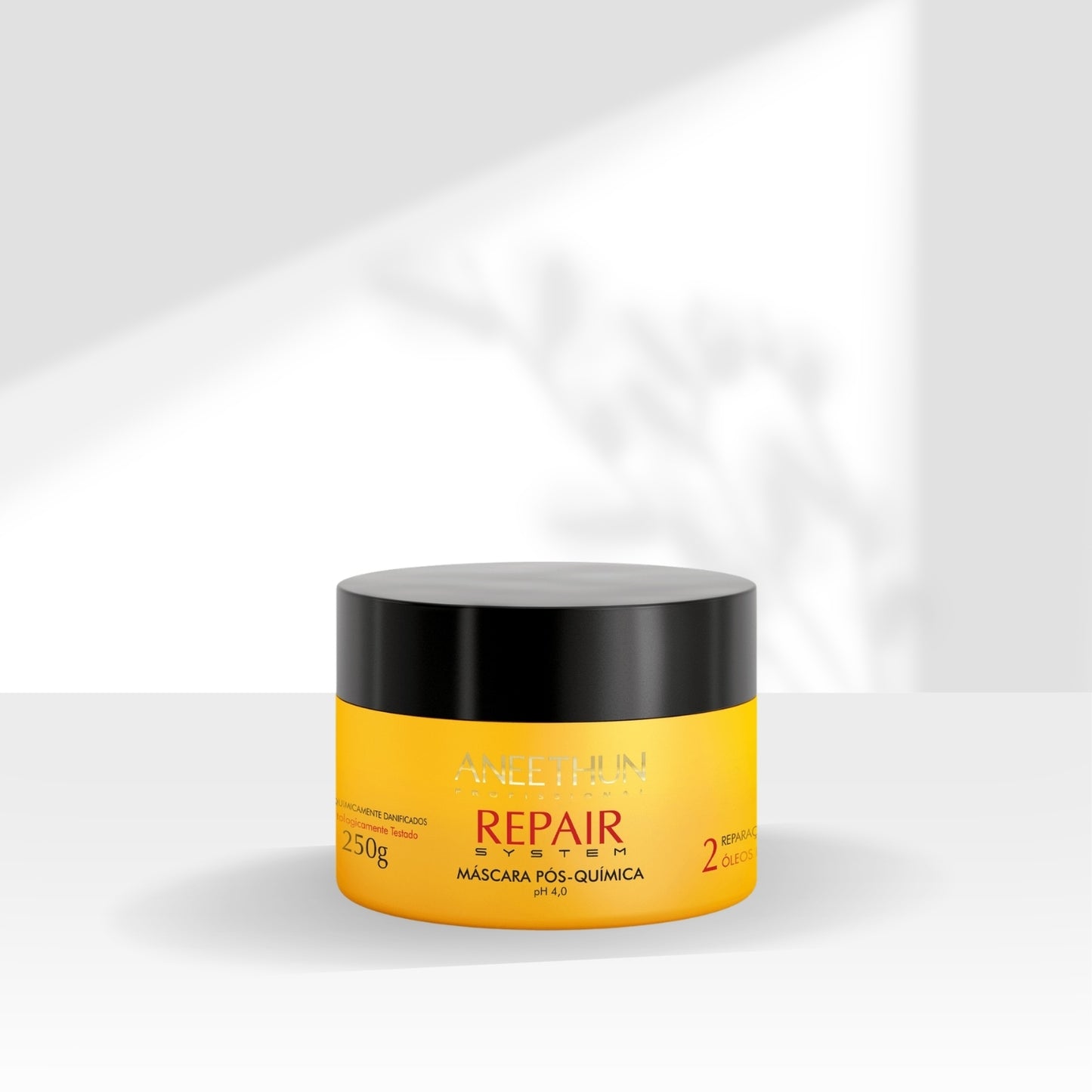 Máscara Aneethun Repair Pós Química 250 g