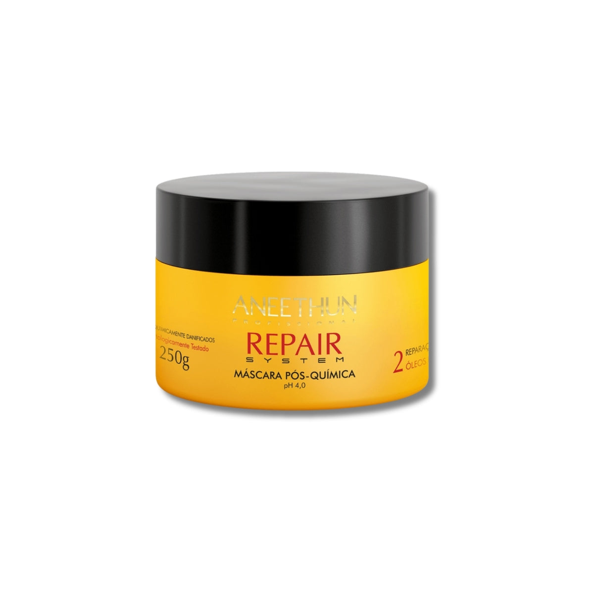 Máscara Aneethun Repair Pós Química 250 g
