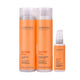 Kit Cadiveu Essentials Bye Bye Frizz Duo + Leave In 120 ml