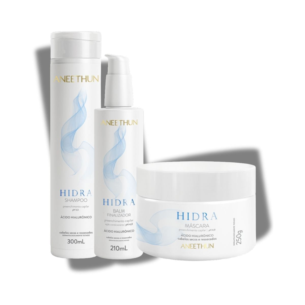 Kit Aneethun Hidra Shampoo 300 ml + Máscara 250 g + Finalizador 210 ml