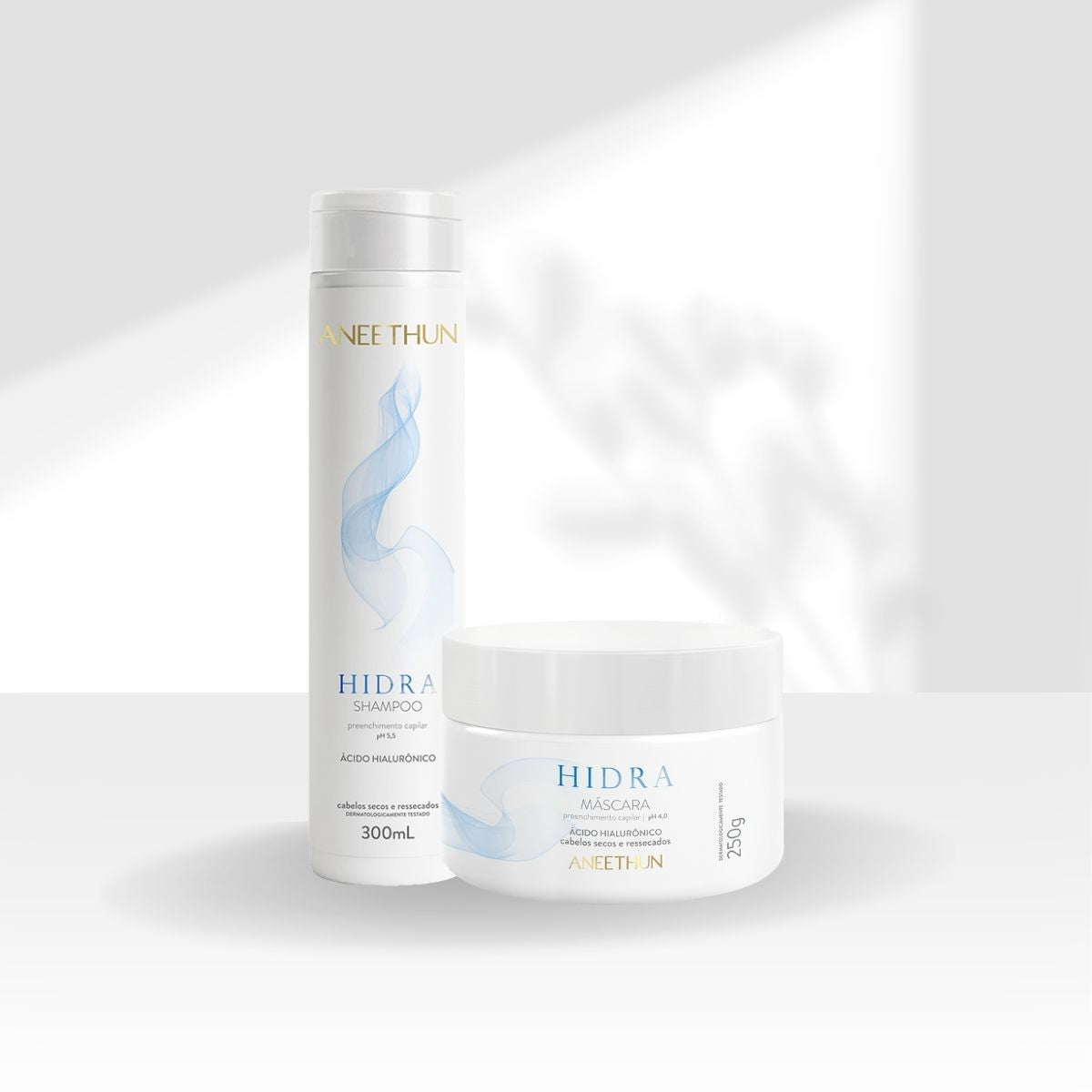 Kit Aneethun Hidra Shampoo 300 ml + Máscara 250 g