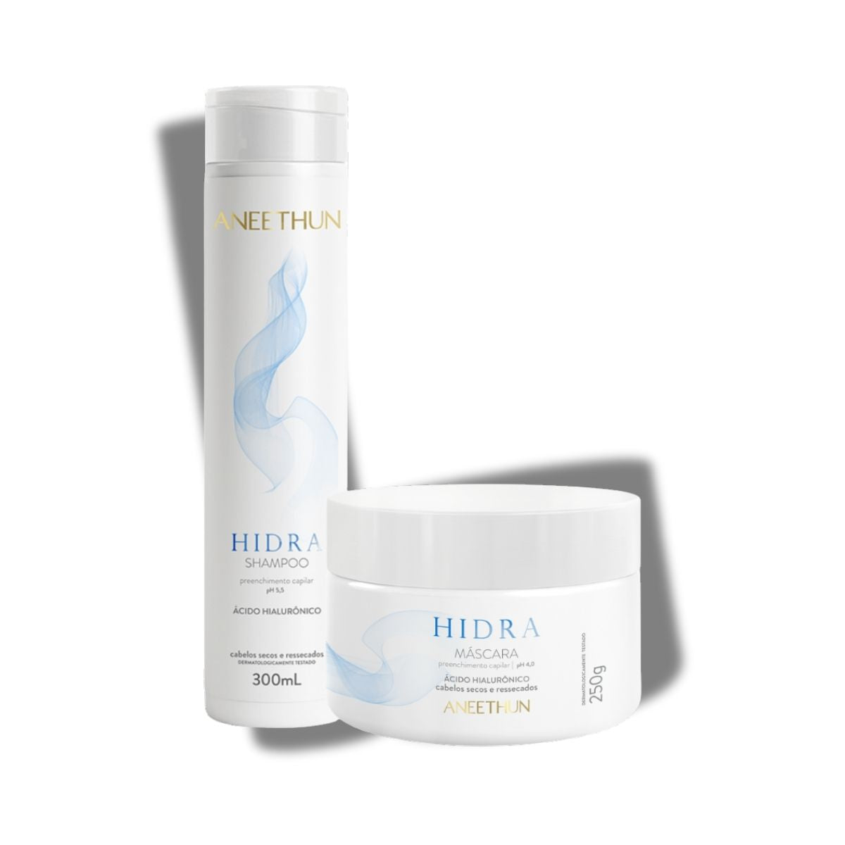 Kit Aneethun Hidra Shampoo 300 ml + Máscara 250 g