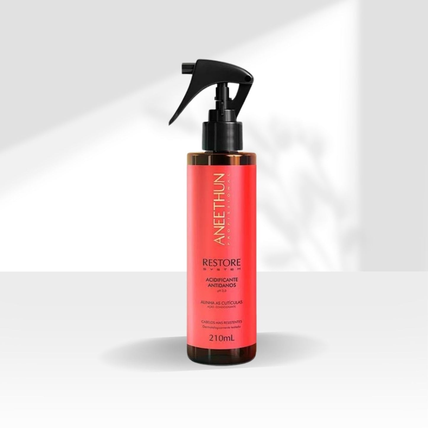 Aneethun Restore Acidificante Antidanos 210 ml