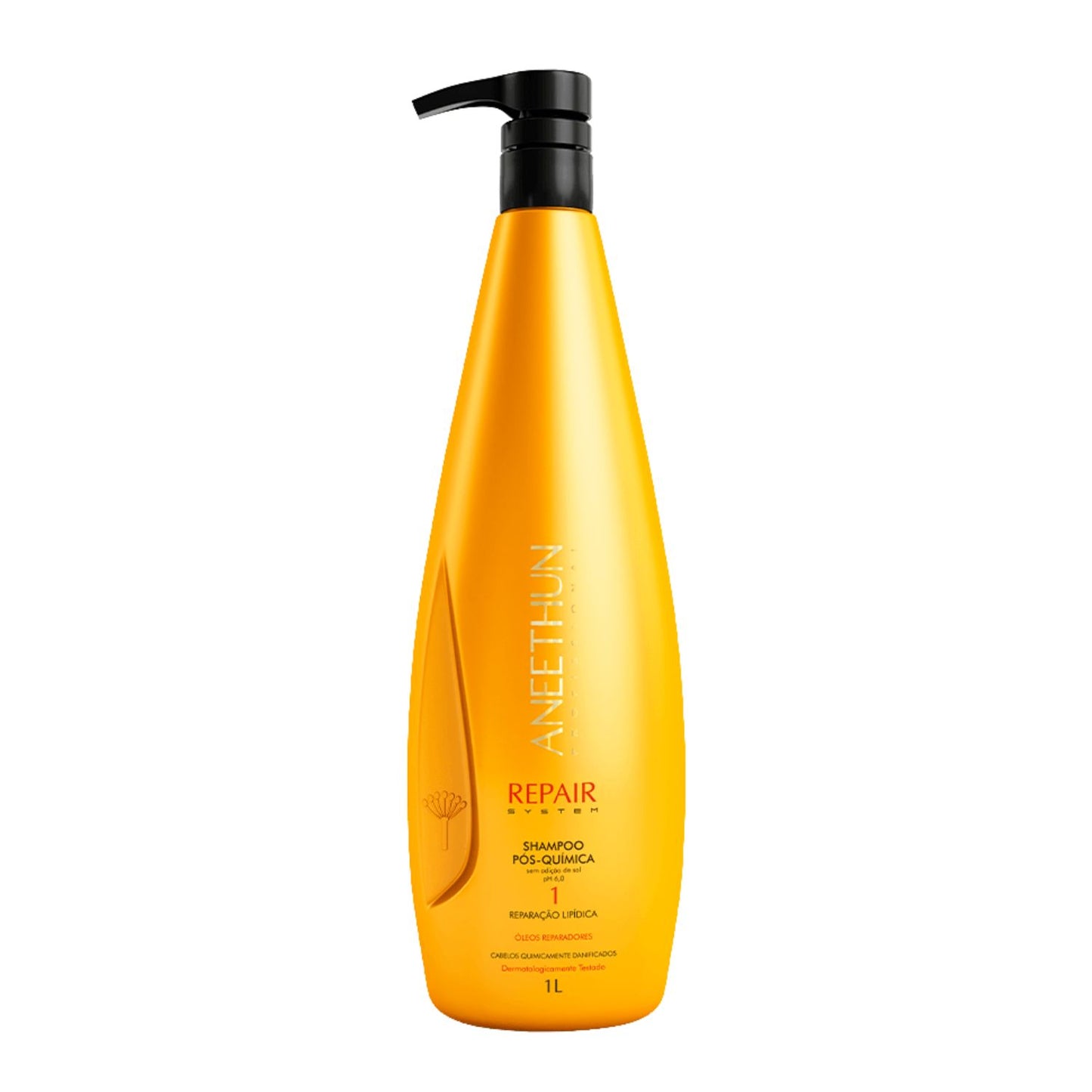 Shampoo Aneethun Repair Pós Química 1 Litro