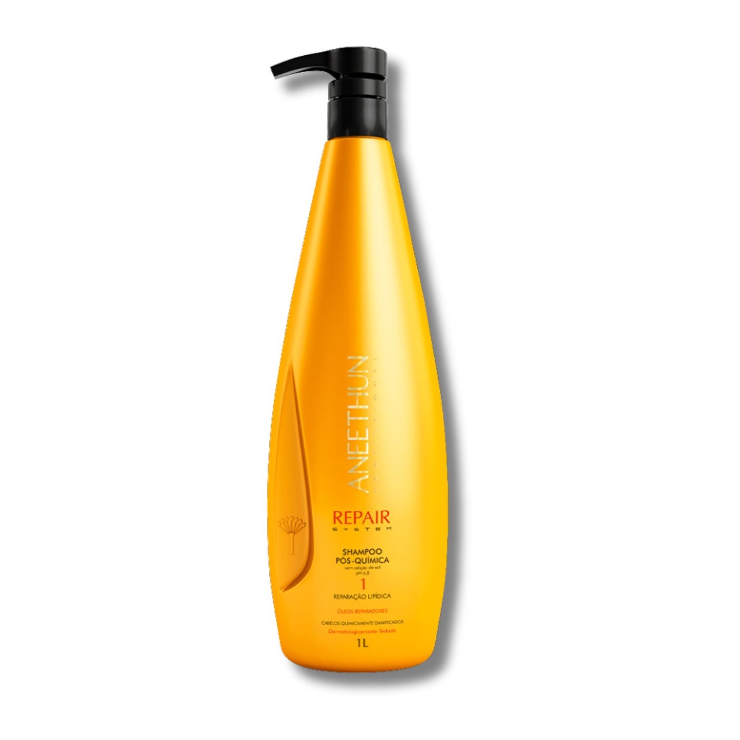Shampoo Aneethun Repair Pós Química 1 Litro