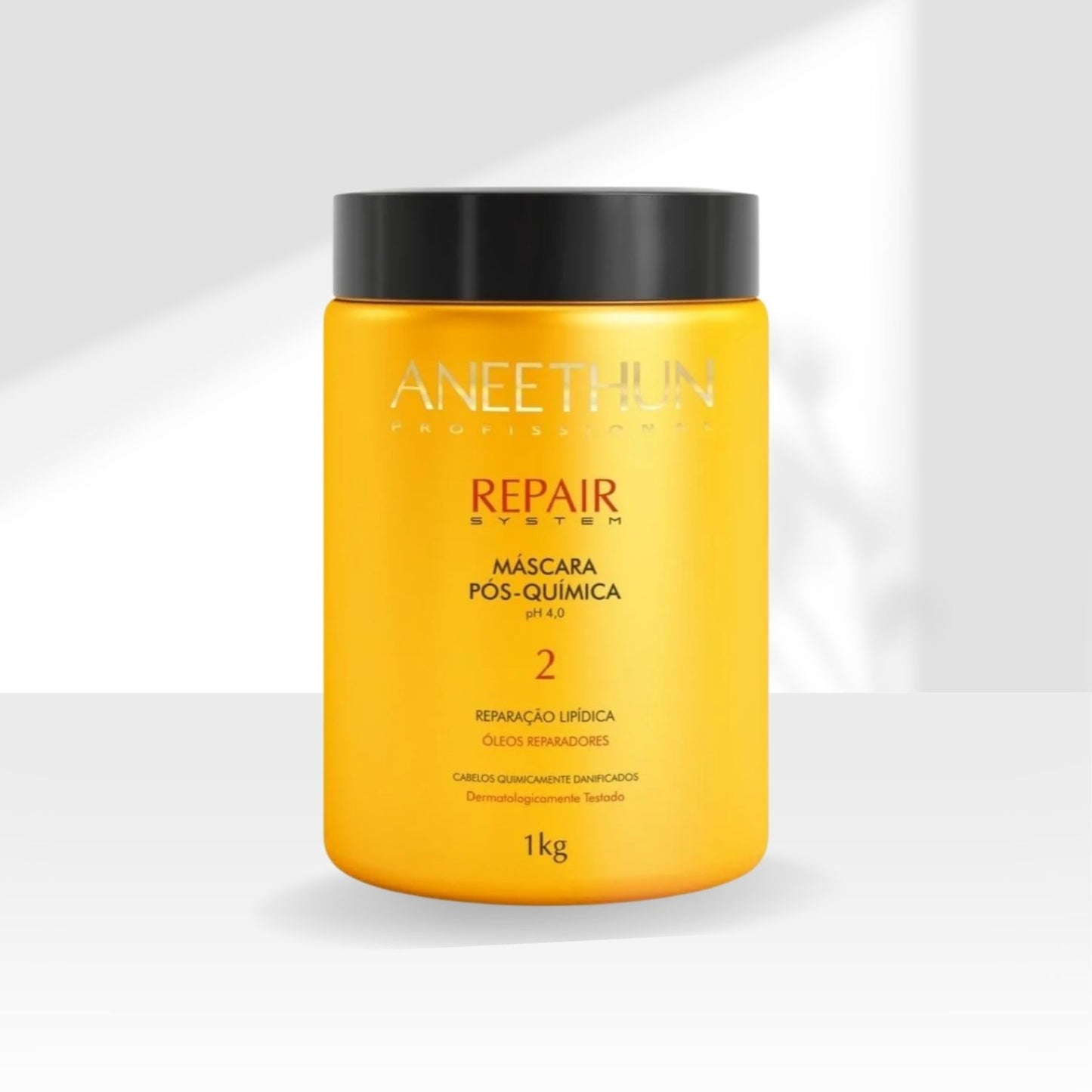 Máscara Aneethun Repair Pós Química 1000 g