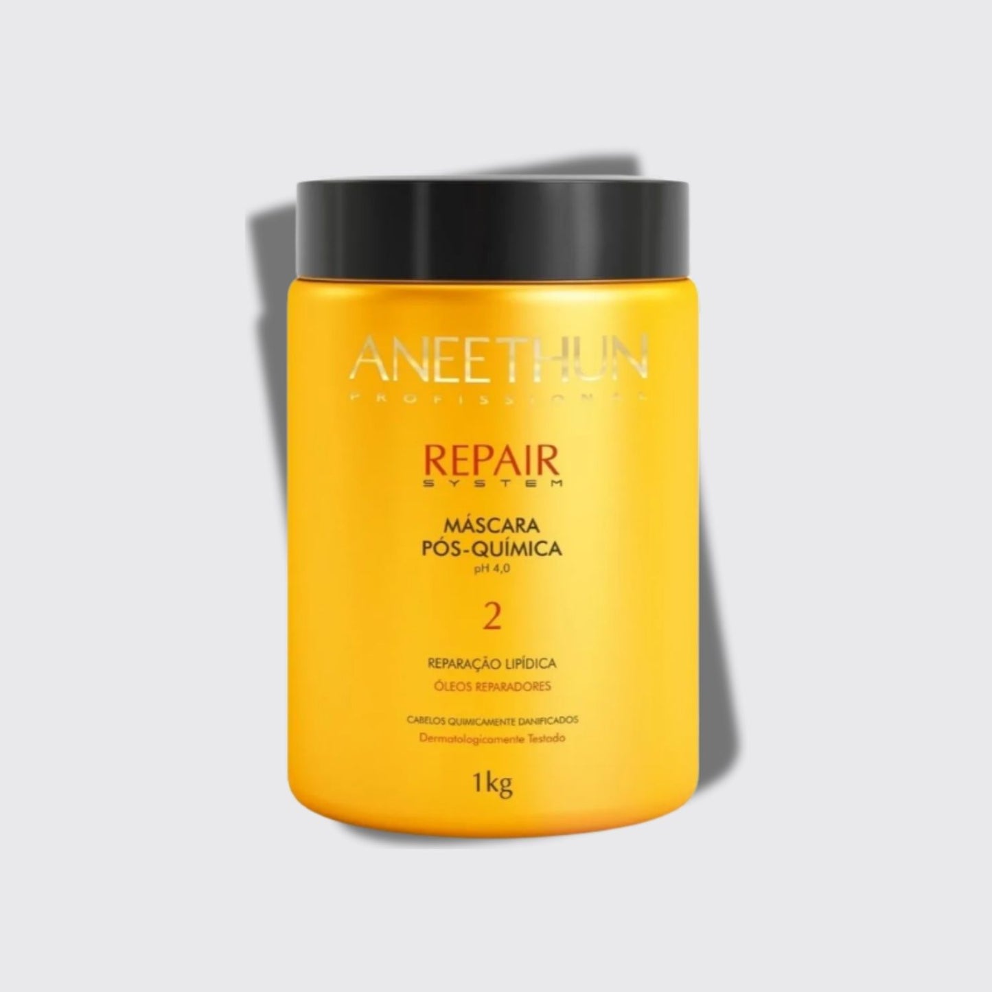 Máscara Aneethun Repair Pós Química 1000 g