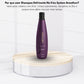 Shampoo Aneethun No Frizz Defrizante 300 ml