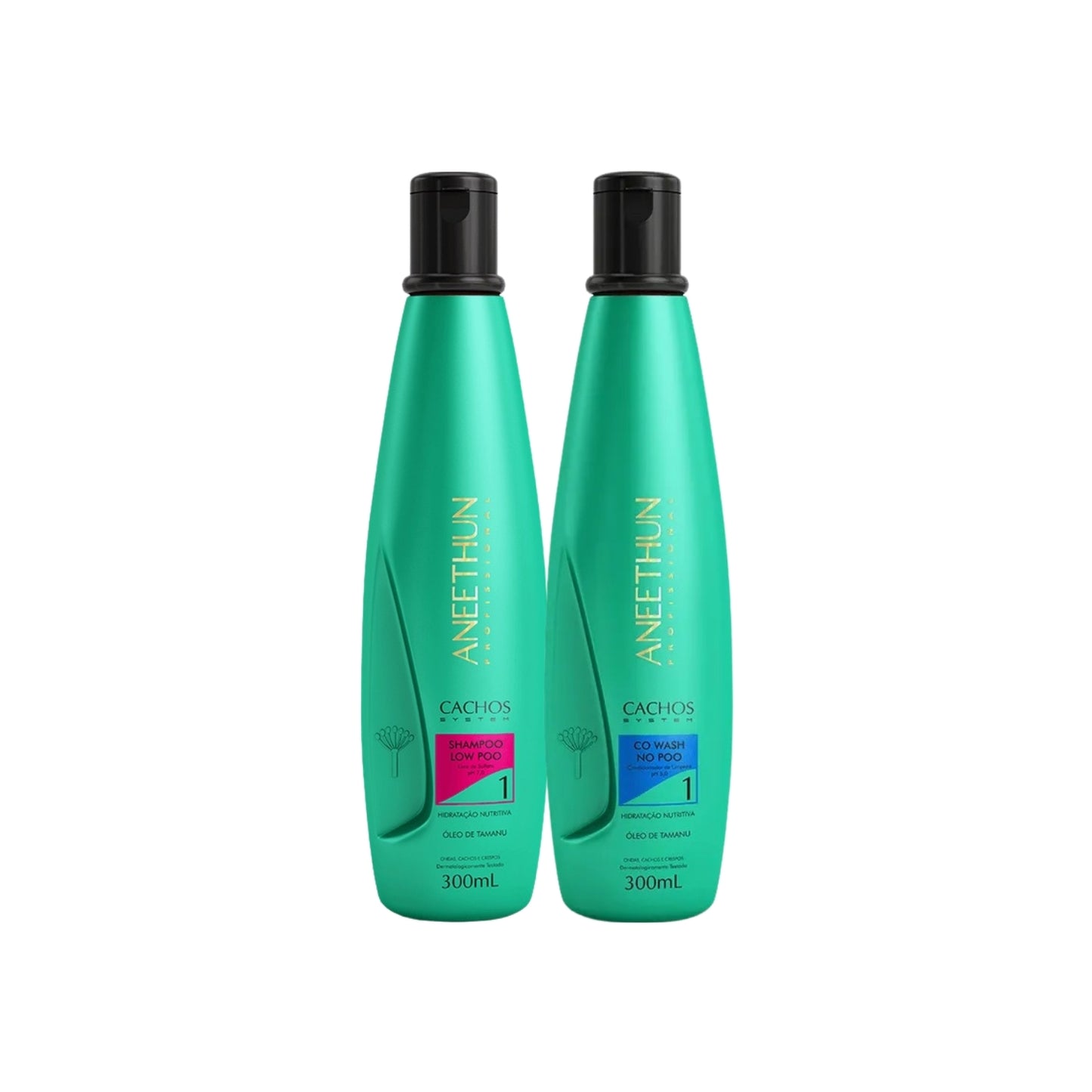 Kit Aneethun Cachos Shampoo 300 ml + Co Wash 300 ml para Cabelo Cacheado