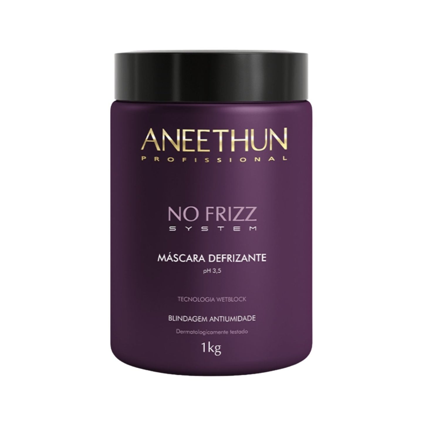 Máscara Aneethun No Frizz Defrizante 1000 g