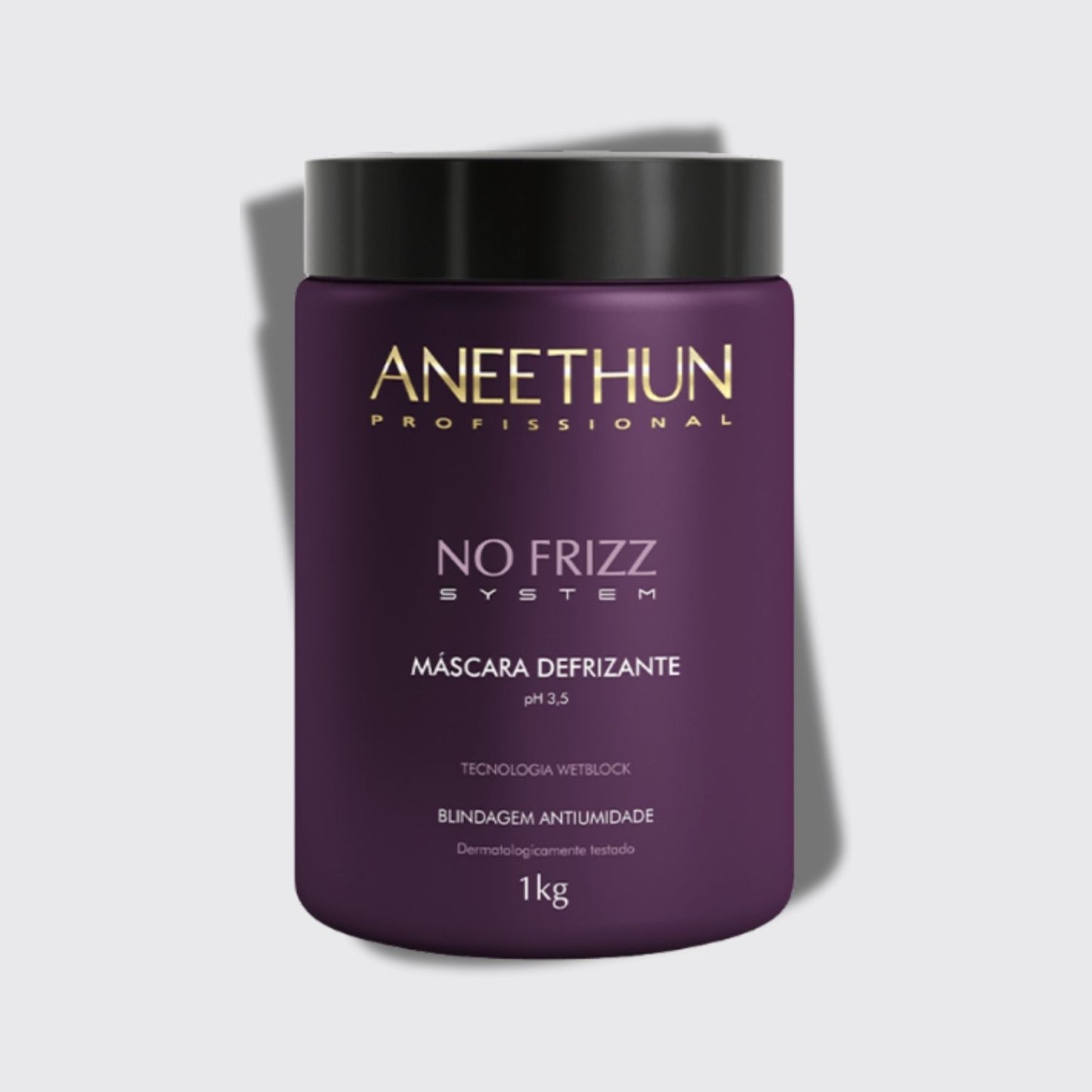 Máscara Aneethun No Frizz Defrizante 1000 g