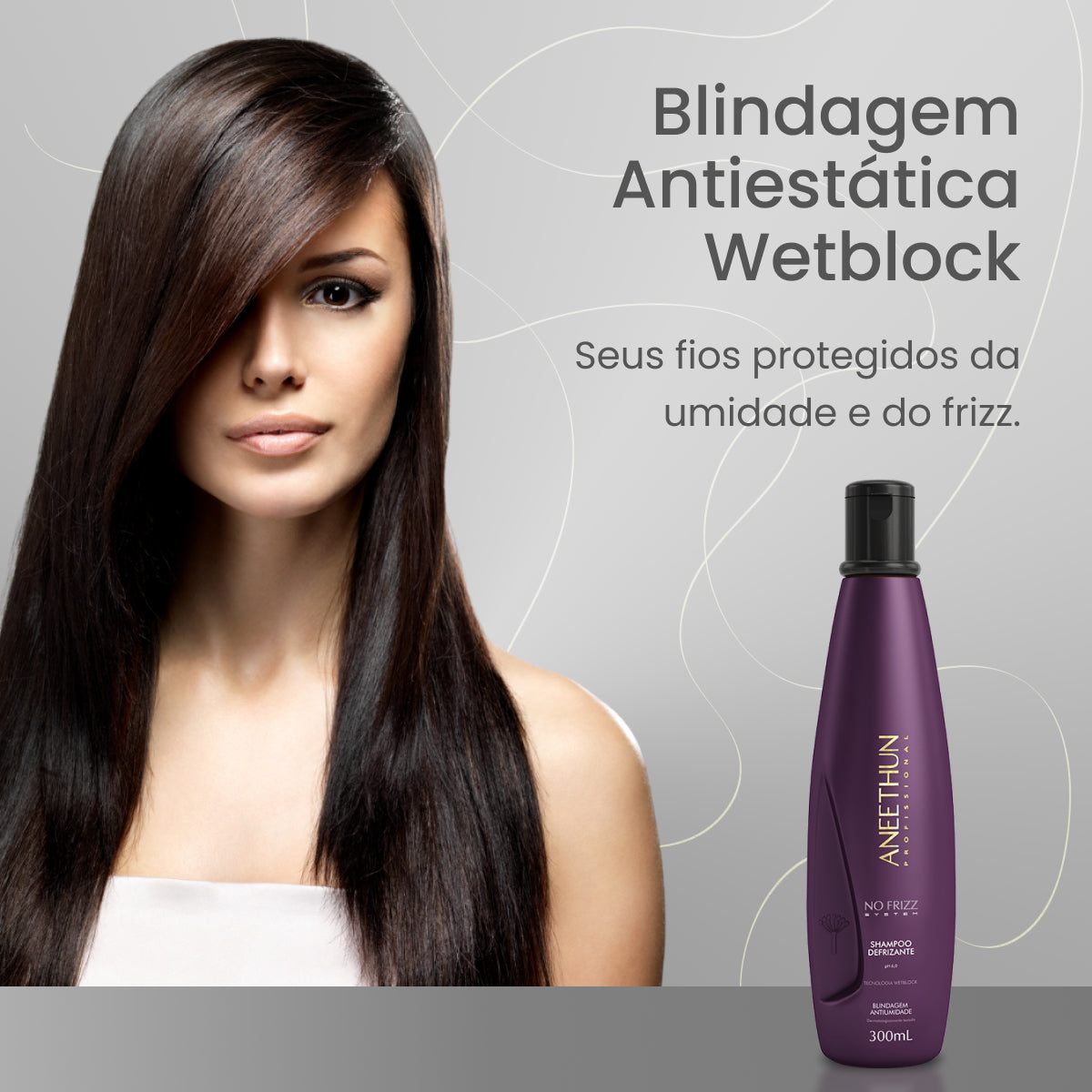 Shampoo Aneethun No Frizz Defrizante 300 ml