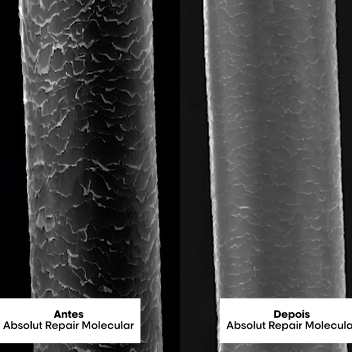 Shampoo Loreal Absolut Repair Molecular 300 ml