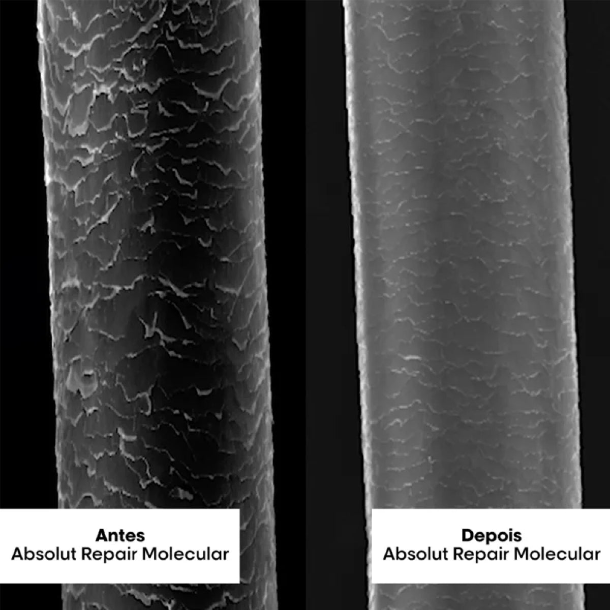 Leave-in Loreal Absolut Repair Molecular Máscara 100 ml