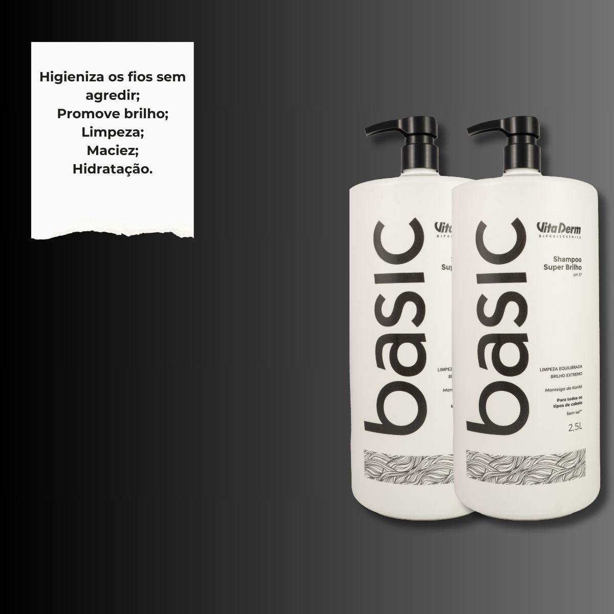 Kit Vita Derm Basic Super Brilho 2 Shampoo 2,5L