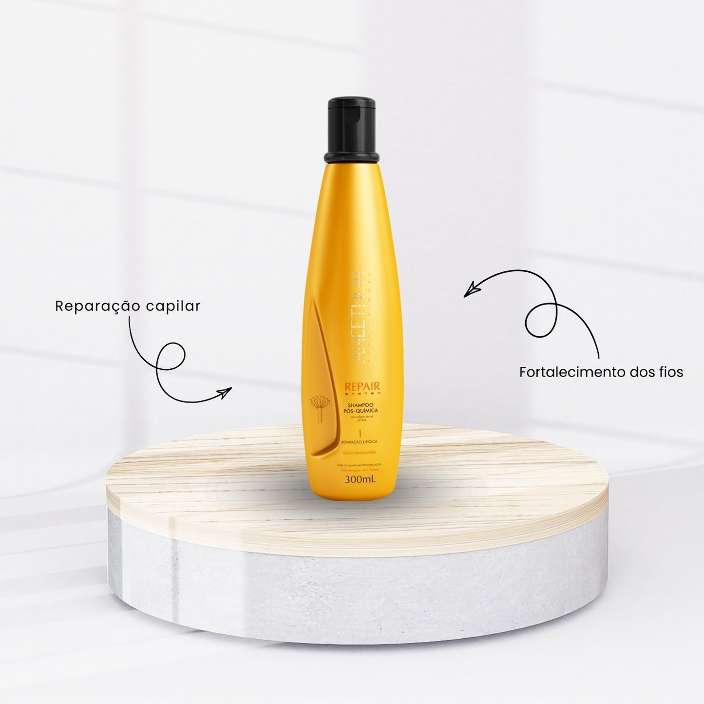 Kit Aneethun Repair Shampoo 300 ml + Oleo Reparador 55 ml