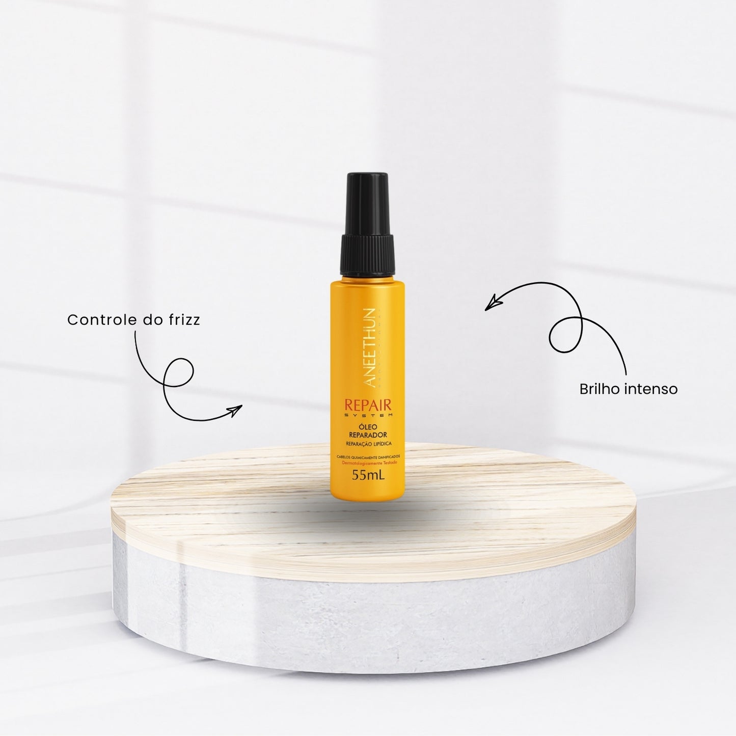 Kit Aneethun Repair Shampoo 300 ml + Oleo Reparador 55 ml