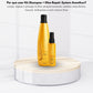 Kit Aneethun Repair Shampoo 300 ml + Oleo Reparador 55 ml