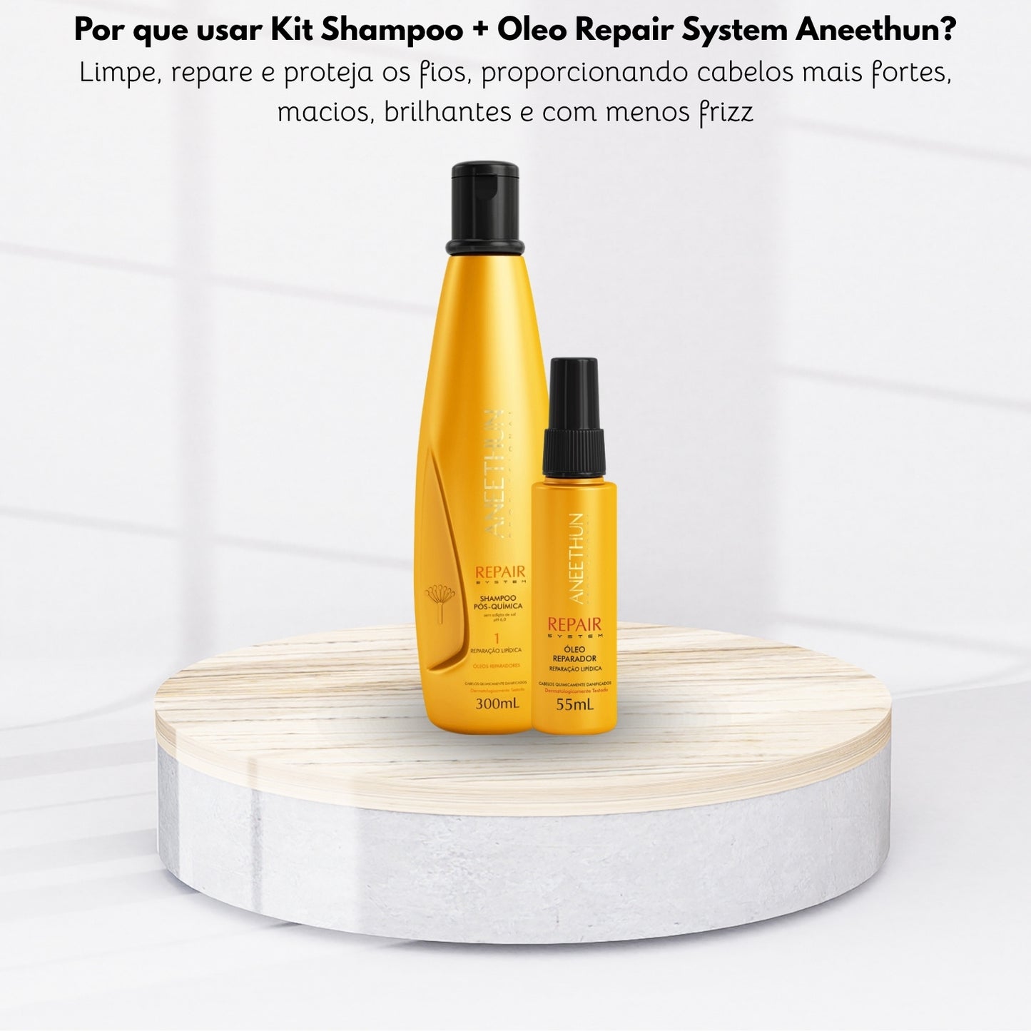Kit Aneethun Repair Shampoo 300 ml + Oleo Reparador 55 ml
