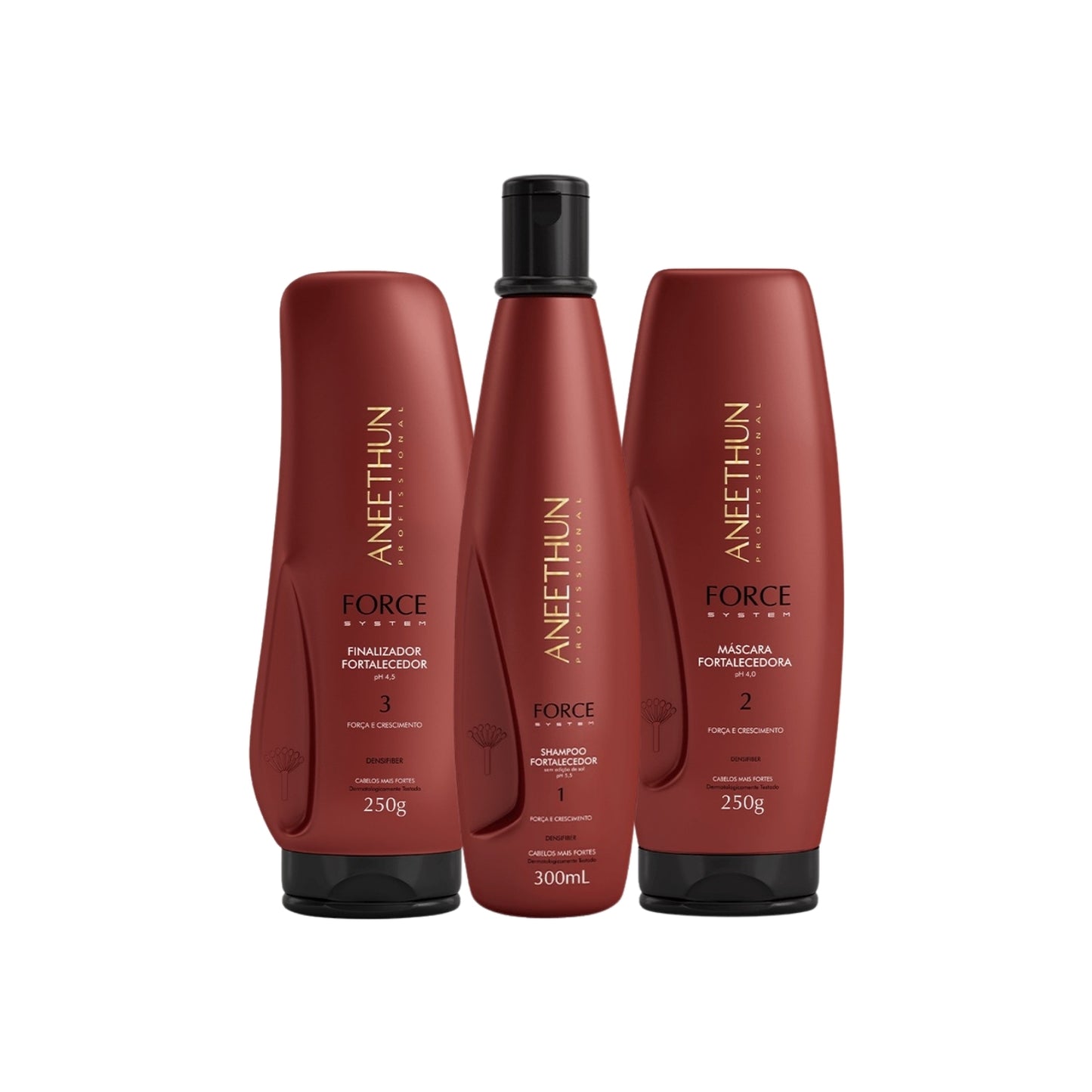 Kit Aneethun Force Shampoo 300 ml + Máscara 250 g + Finalizador 250 g