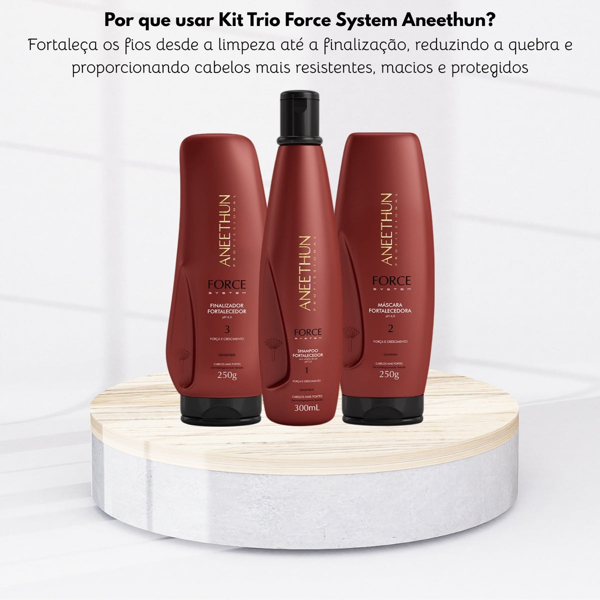 Kit Aneethun Force Shampoo 300 ml + Máscara 250 g + Finalizador 250 g