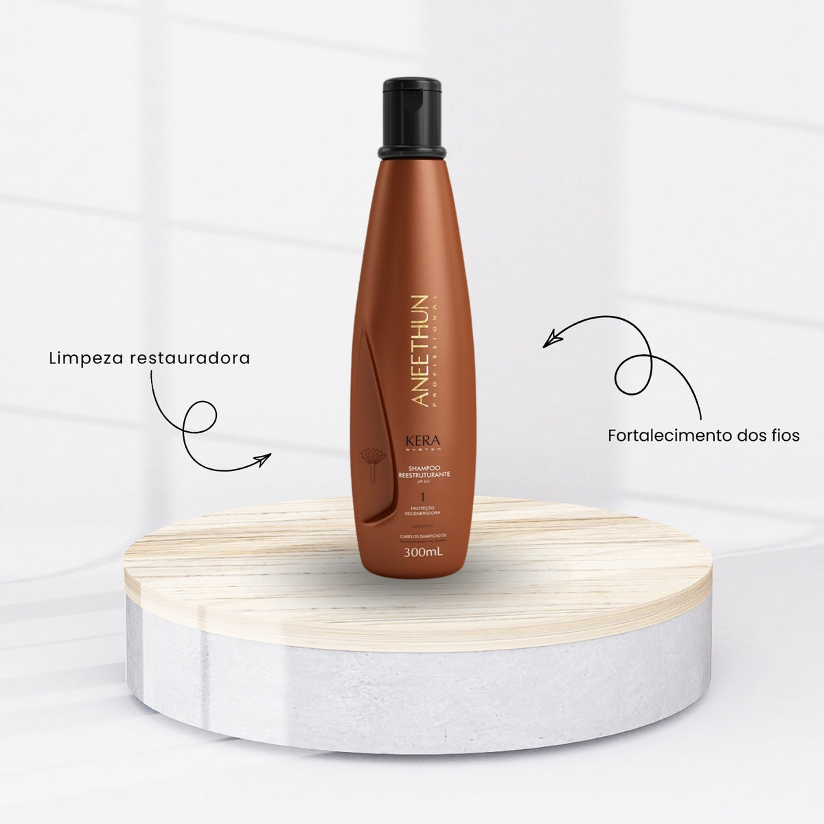 Kit Aneethun Kera Shampoo Reestruturante 300 ml + Leave in 250 g