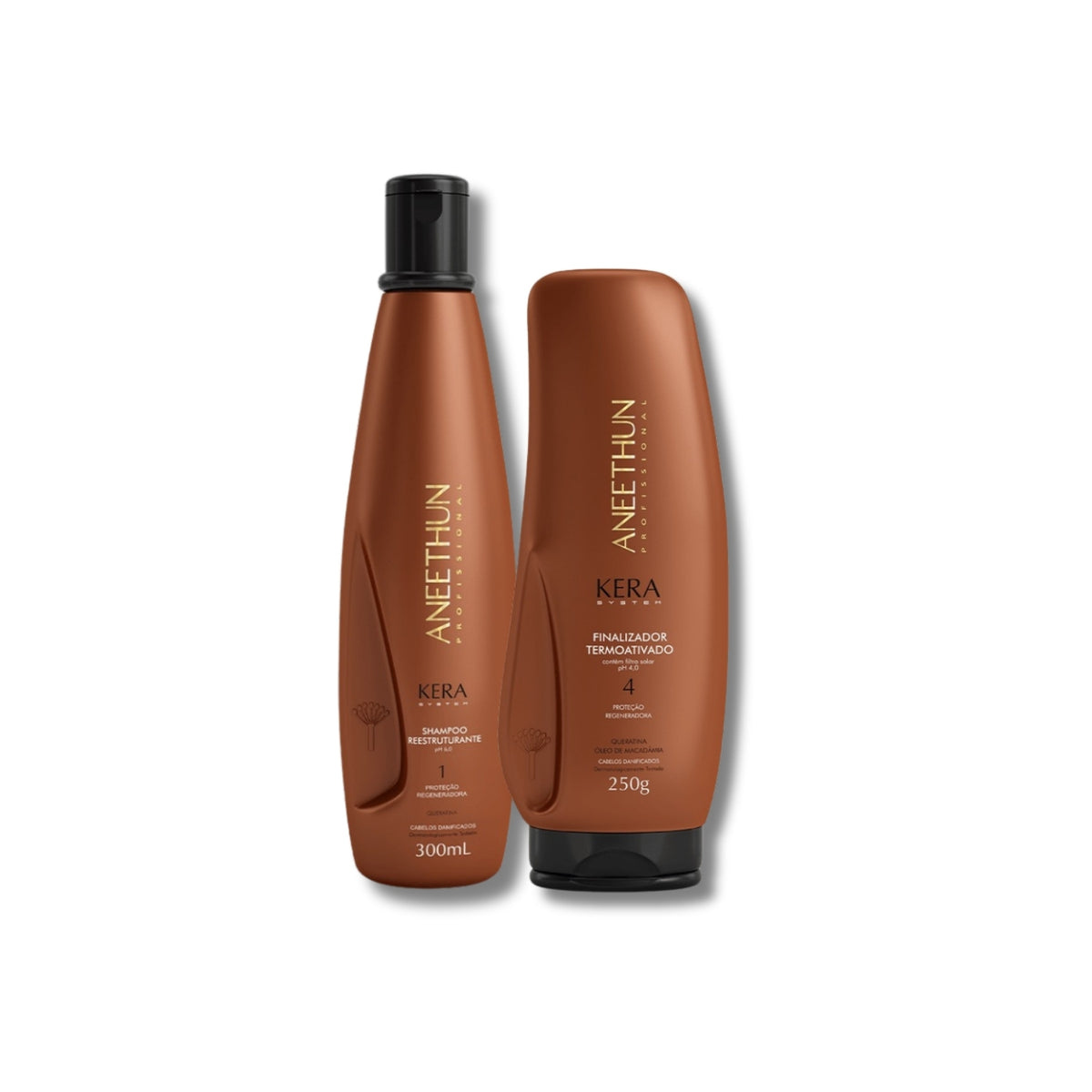 Kit Aneethun Kera Shampoo Reestruturante 300 ml + Leave in 250 g