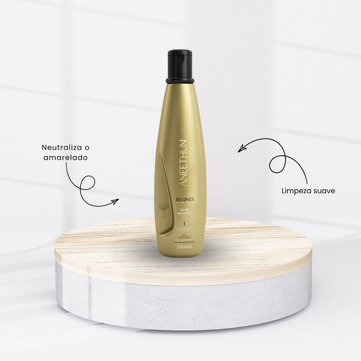 Kit Aneethun Blond Shampoo Silver 300 ml + Finalizador Termoativado 250 g