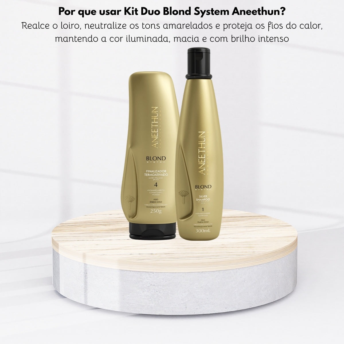 Kit Aneethun Blond Shampoo Silver 300 ml + Finalizador Termoativado 250 g