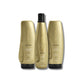 Kit Aneethun Blond Shampoo Silver 300 ml + Máscara 250 g + Finalizador 250 g