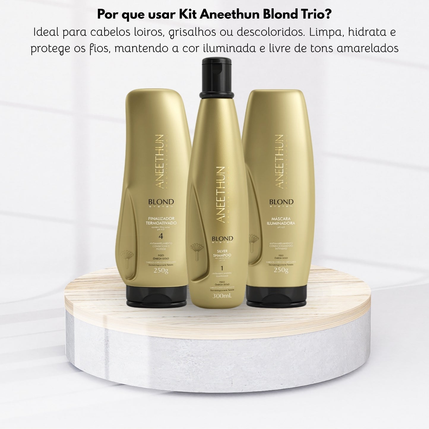 Kit Aneethun Blond Shampoo Silver 300 ml + Máscara 250 g + Finalizador 250 g