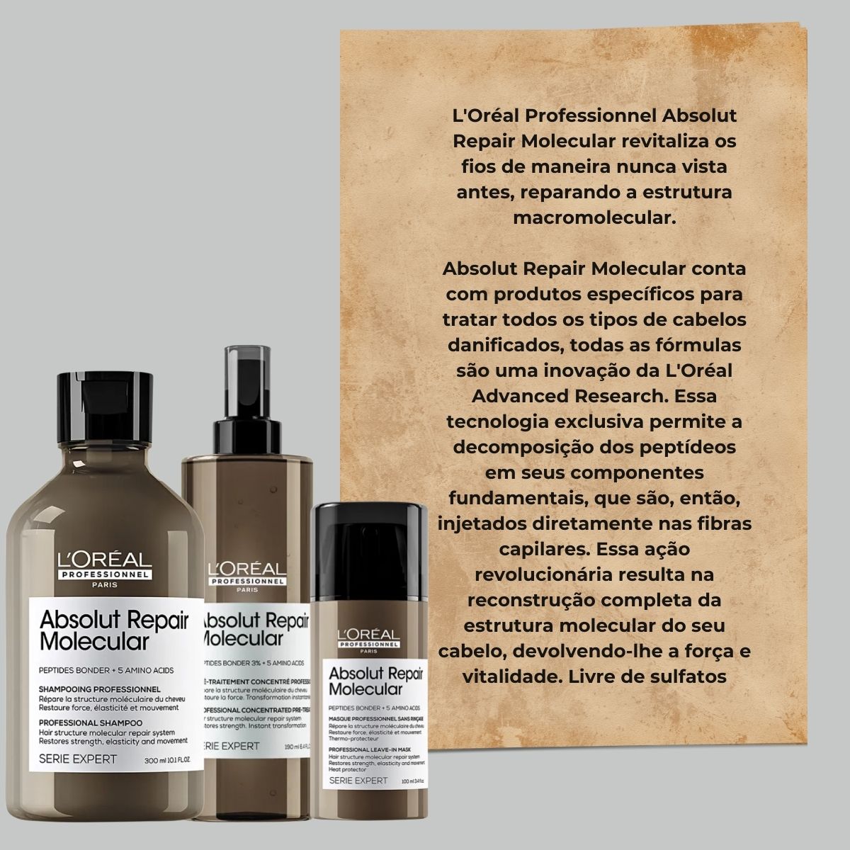 Kit Loreal Absolut Repair Molecular e Leave-in (3 Produtos)
