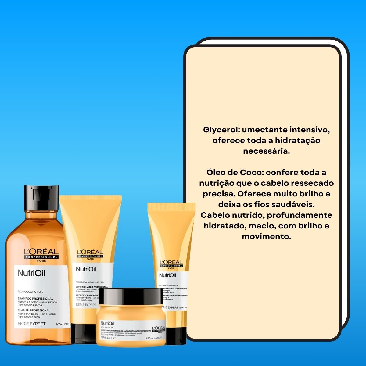 Kit Loreal NutriOil Home Care (4 Produtos)