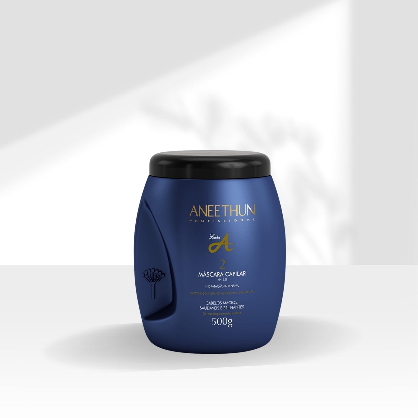 Kit Aneethun Linha A 3 Máscara Capilar 500 g