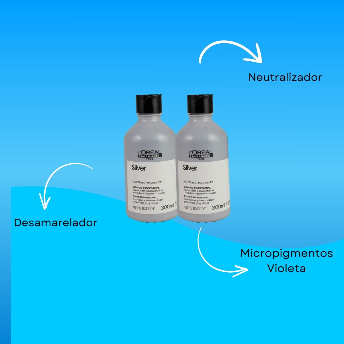 Kit Loreal Silver 2 Shampoo 300 ml