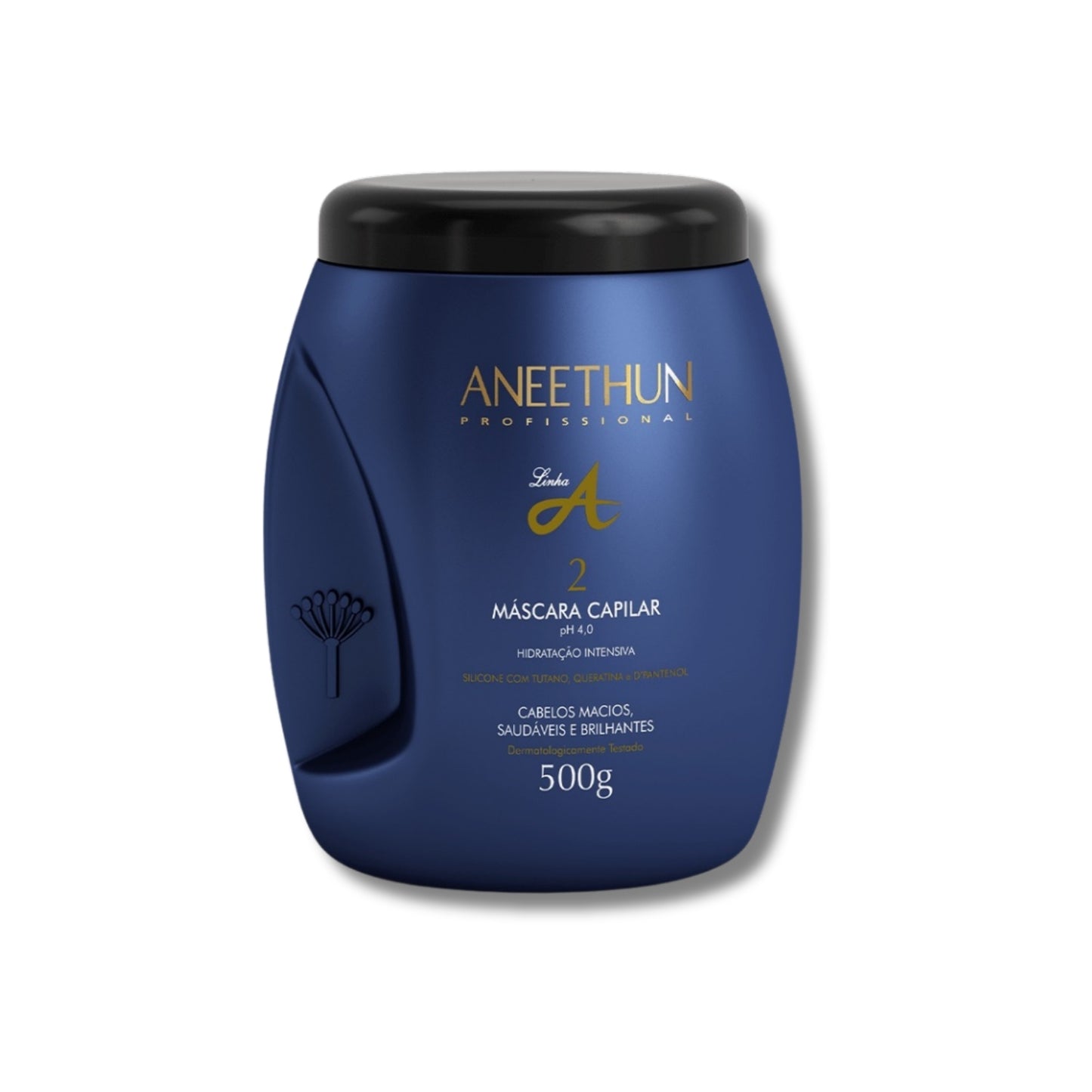 Kit Aneethun Linha A 3 Máscara Capilar 500 g
