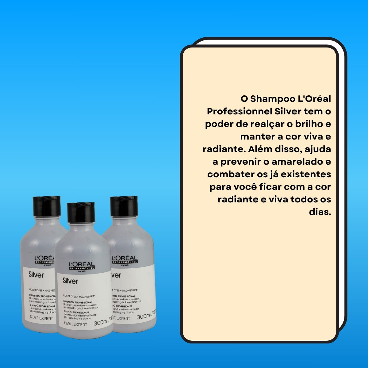 Kit Loreal Silver 3 Shampoo 300 ml