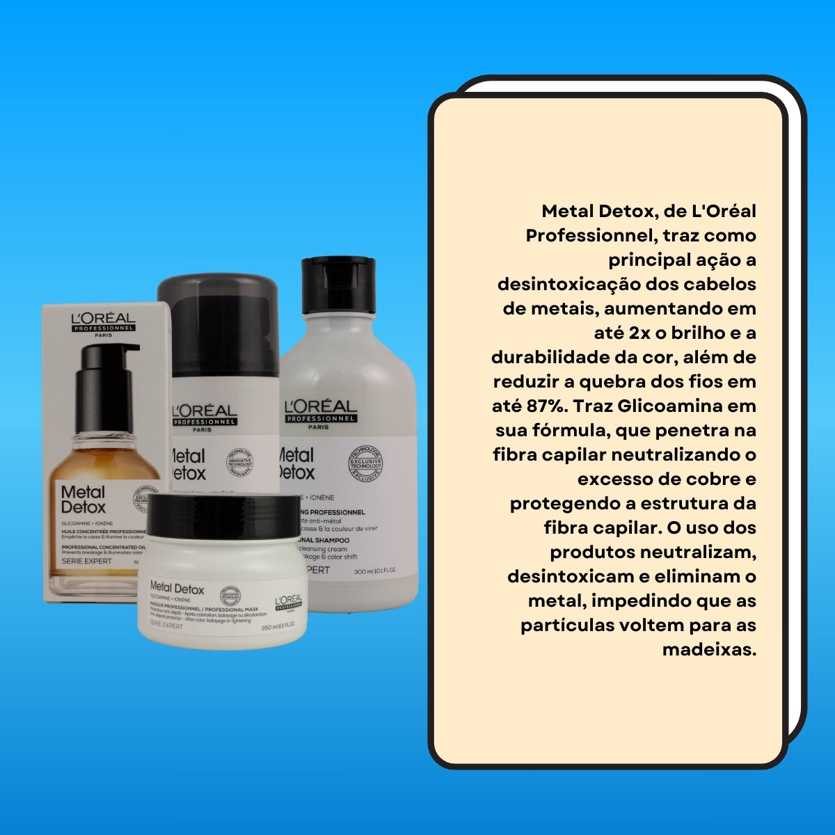 Kit Loreal Metal Detox Home Care (4 Produtos)