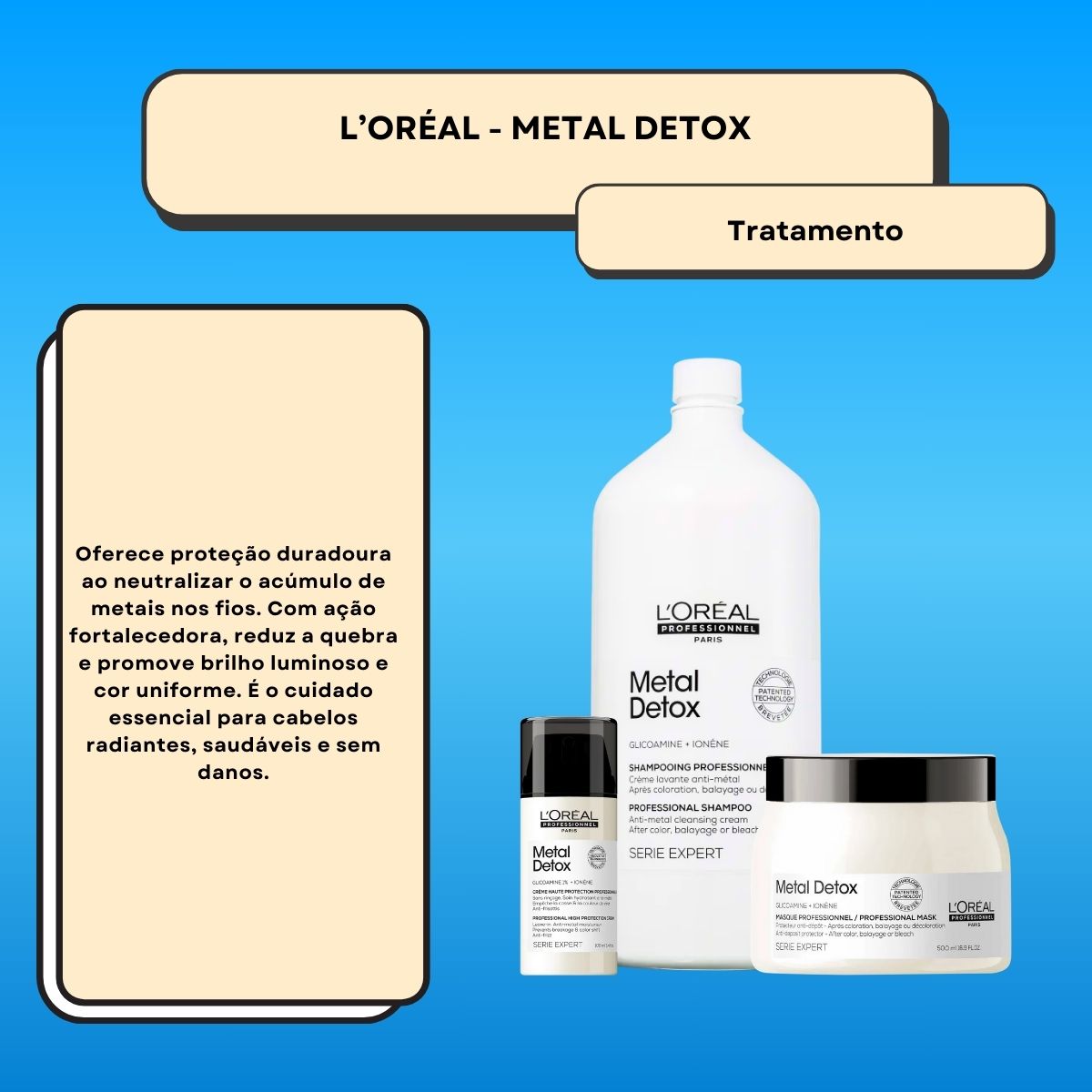 Kit Loreal Metal Detox Salão (3 Produtos)