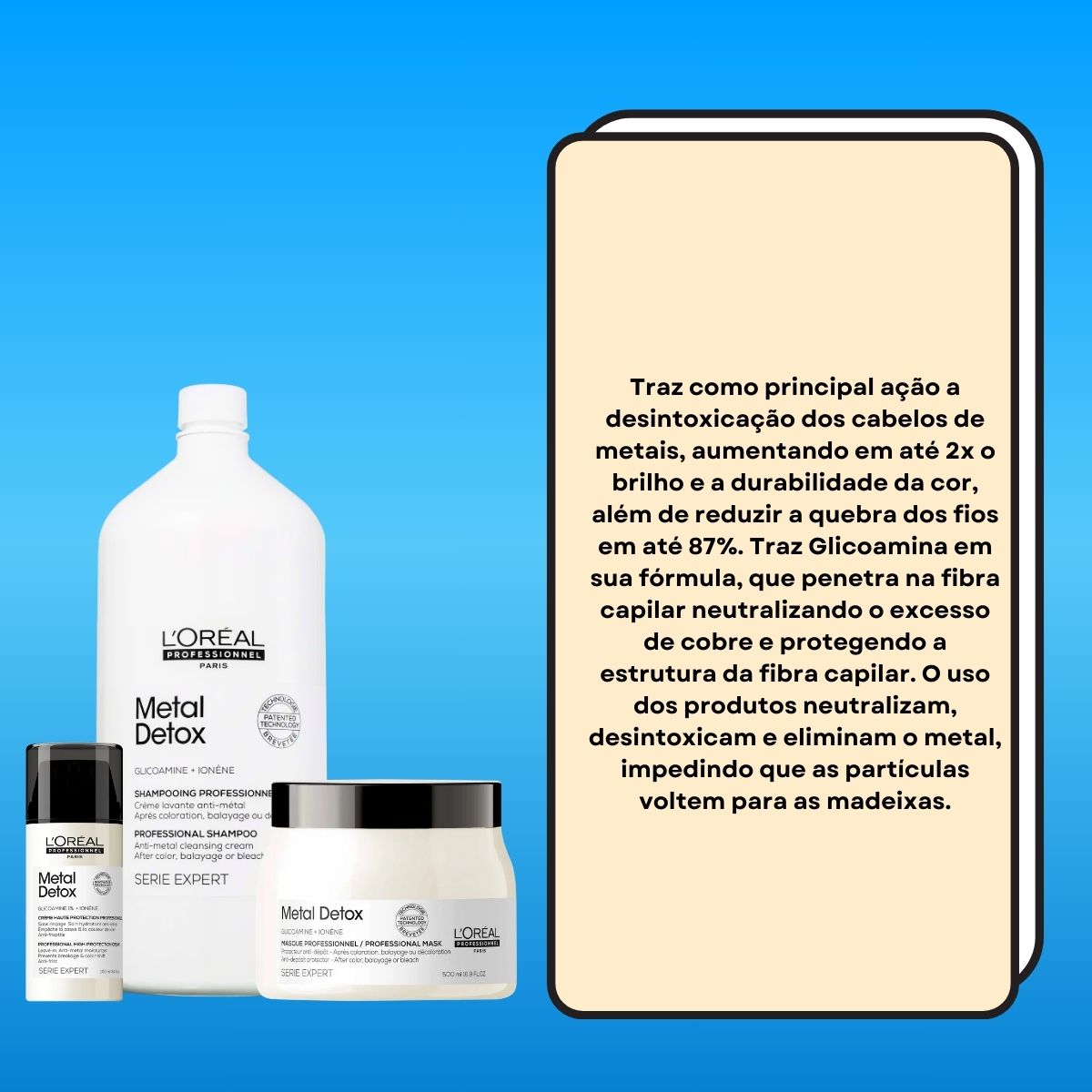 Kit Loreal Metal Detox Salão (3 Produtos)