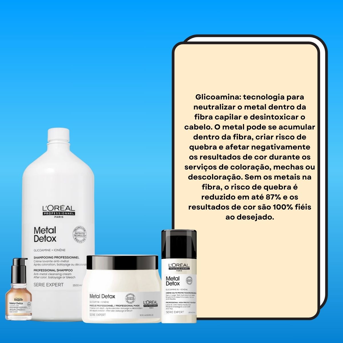 Kit Loreal Metal Detox Salão (4 Produtos)
