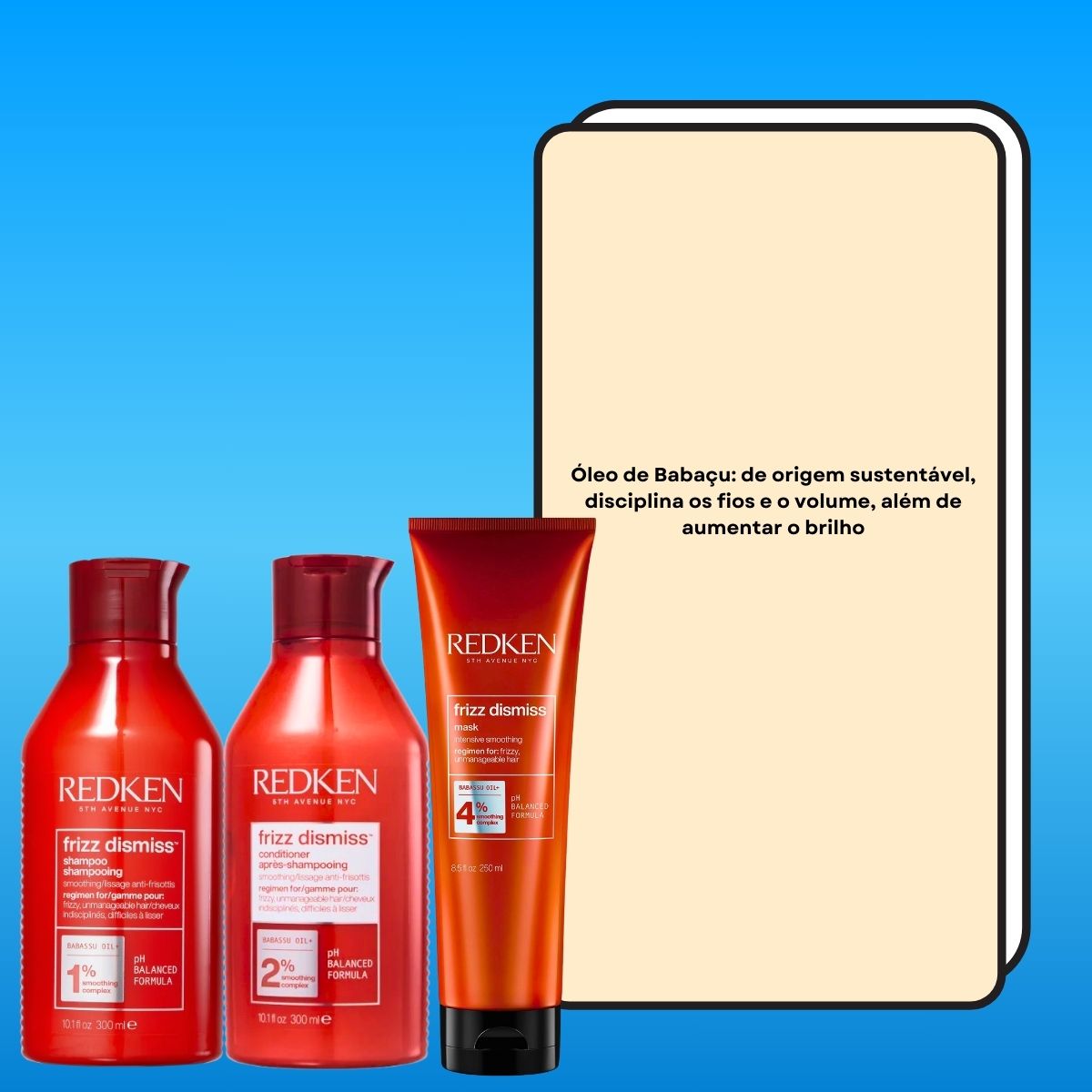 Kit Redken Frizz Dismiss Cuidados Diários (3 Produtos)