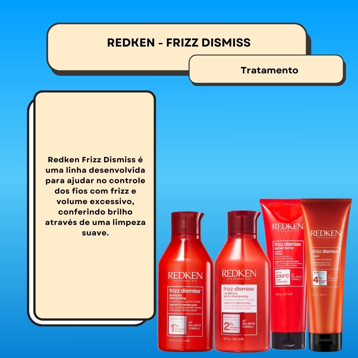 Kit Redken Frizz Dismiss Anti-Frizz (4 Produtos)