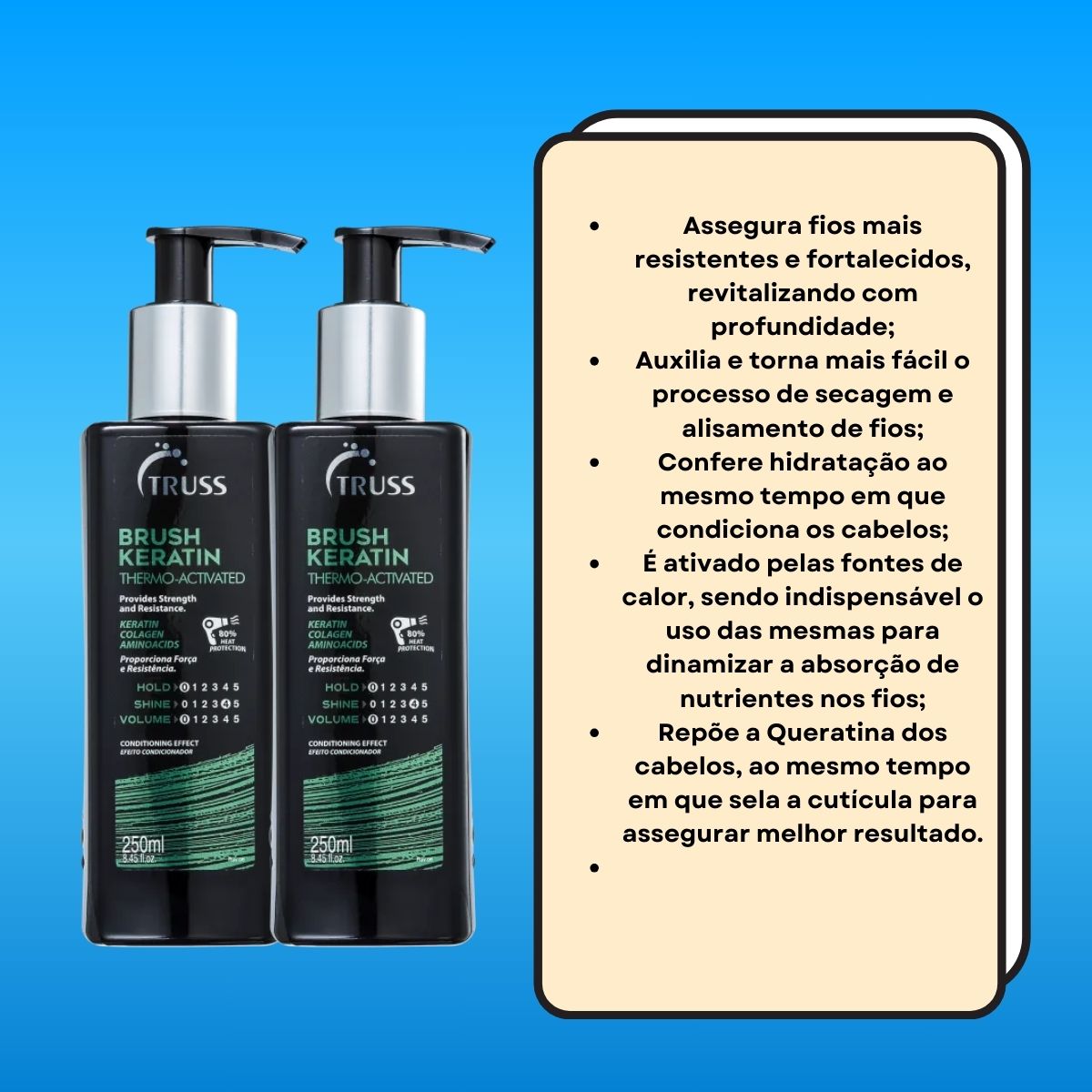 Kit Truss Brush 2 Leave-in Reconstrutor 250 ml