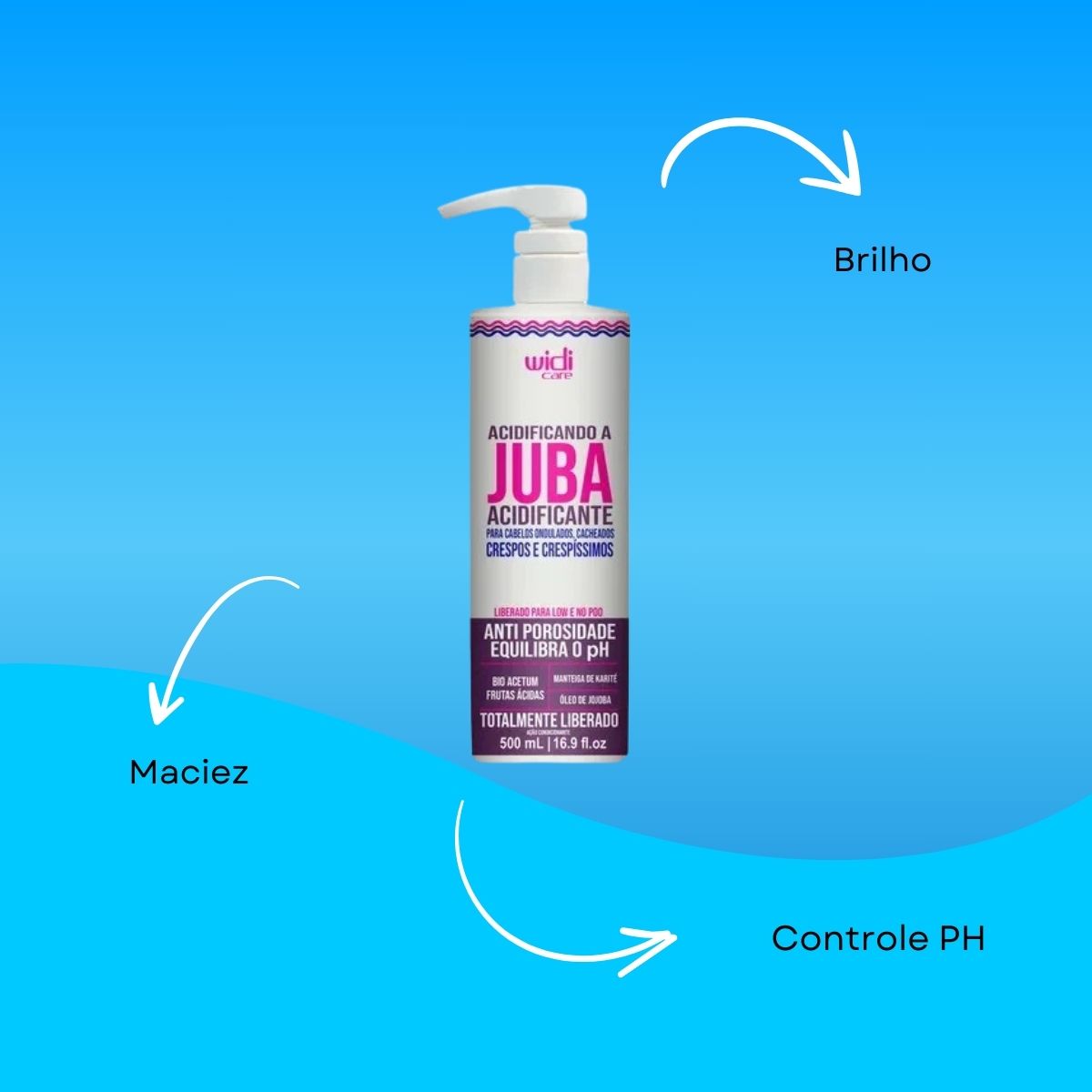 Widi Care Acidificando A Juba Acidificante 500 ml