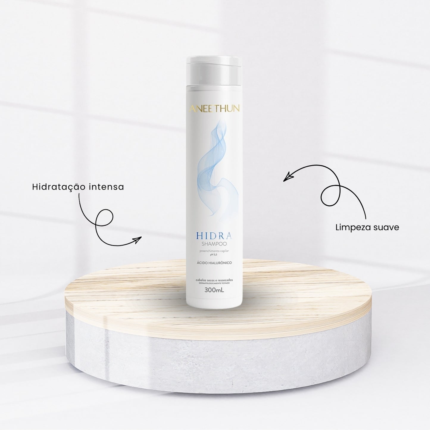 Kit Aneethun Hidra Shampoo 300 ml + Finalizador 210 ml