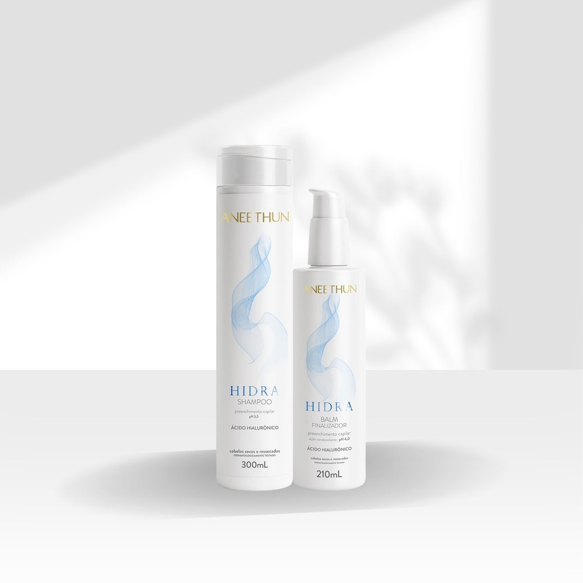 Kit Aneethun Hidra Shampoo 300 ml + Finalizador 210 ml