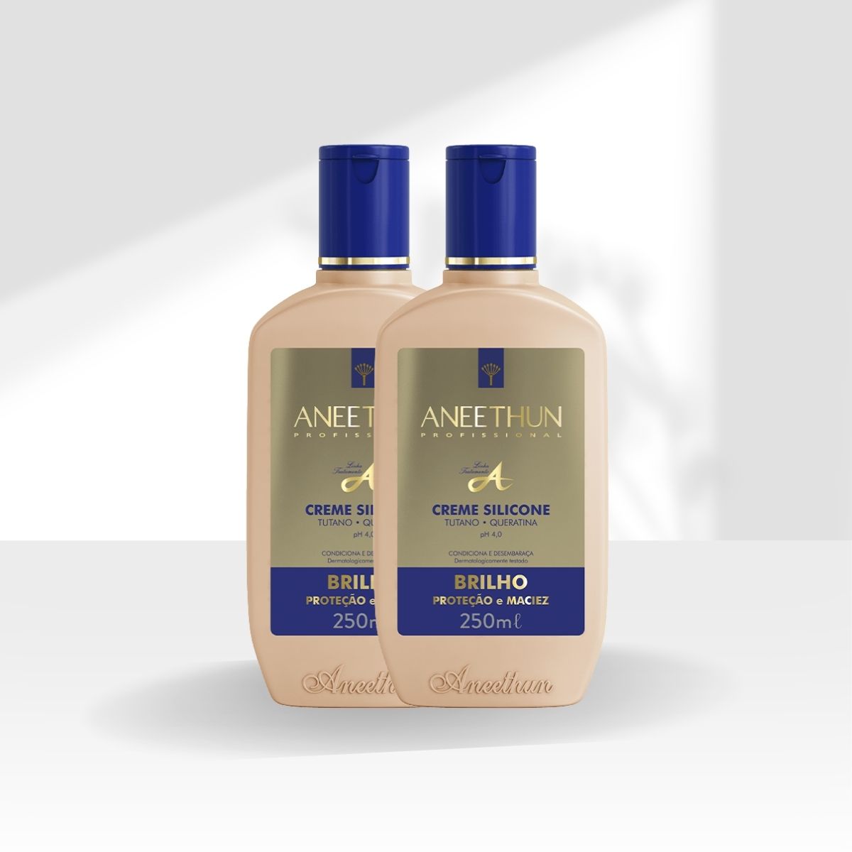 Kit Aneethun Linha A 2 Creme de Silicone 250 ml