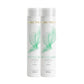 Kit Aneethun Antiqueda 2 Shampoo Estimulante 300 ml