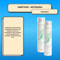 Kit Aneethun Antiqueda 2 Shampoo Estimulante 300 ml